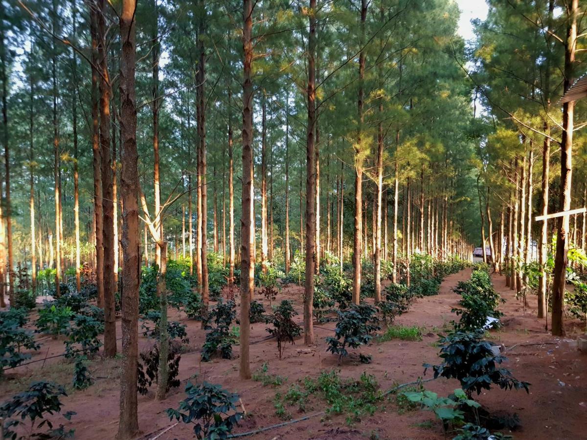 Villa Pason Khao Kho Dış mekan fotoğraf